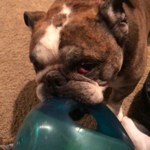 Meet your Posher, David